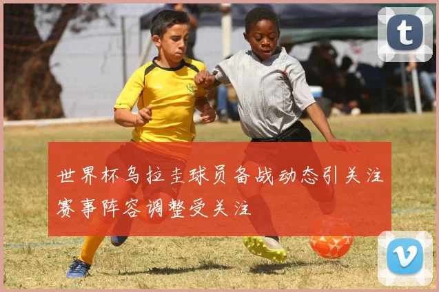 世界杯乌拉圭球员备战动态引关注赛事阵容调整受关注