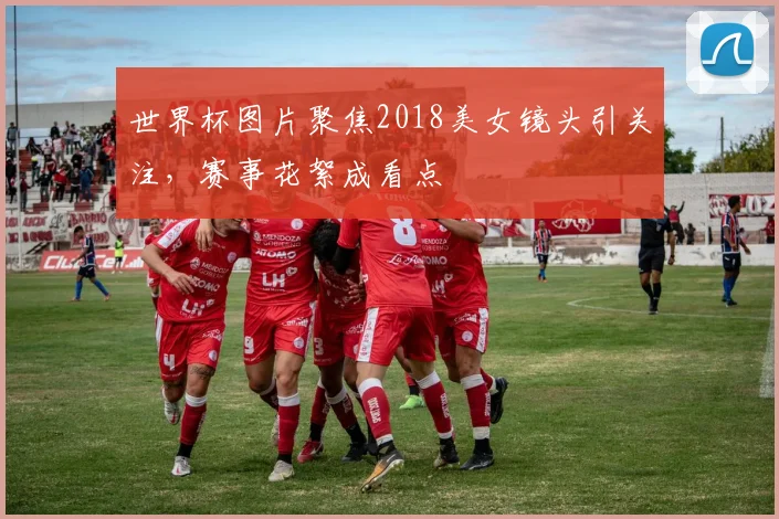 世界杯图片聚焦2018美女镜头引关注,赛事花絮成看点