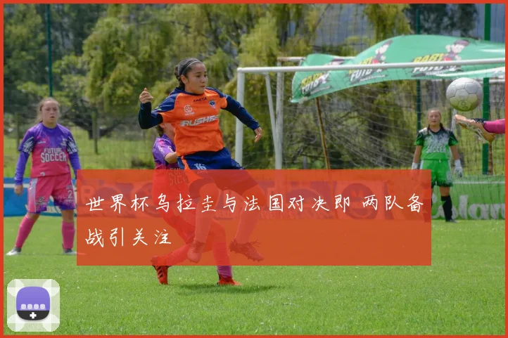 世界杯乌拉圭与法国对决即 两队备战引关注