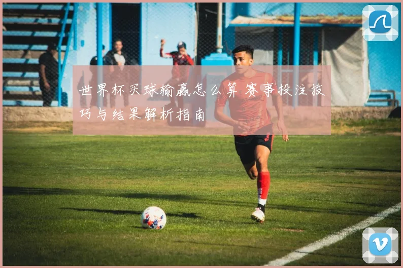世界杯买球输赢怎么算 赛事投注技巧与结果解析指南