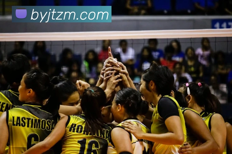 世界杯平台官网登录APP 封面图